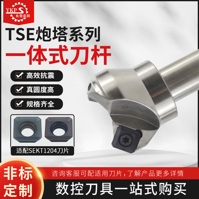 TSE直柄45度面铣刀杆刀片