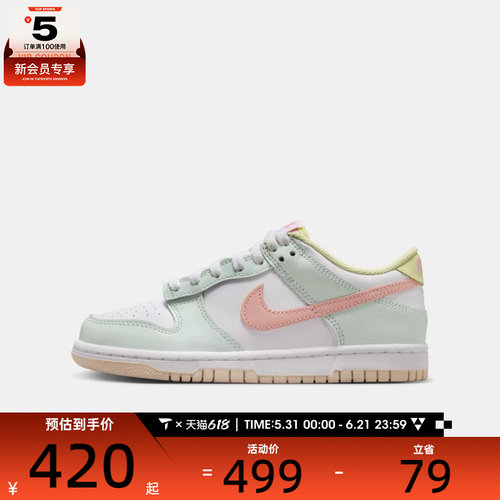 NIKE耐克大童DUNK  BG运动休闲鞋IV2861-181