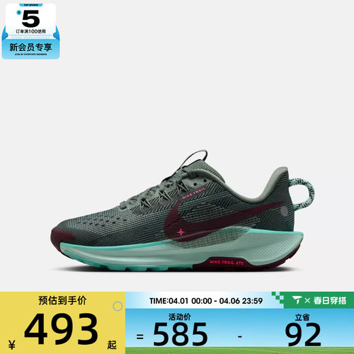 NIKE耐克大童PEGASUS TRAIL 5运动训练跑步鞋FV5638-301