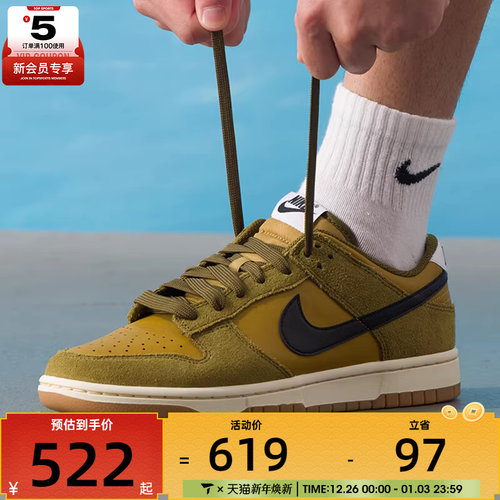 NIKE耐克男子DUNK复古运动鞋休闲鞋板鞋IB6399-300