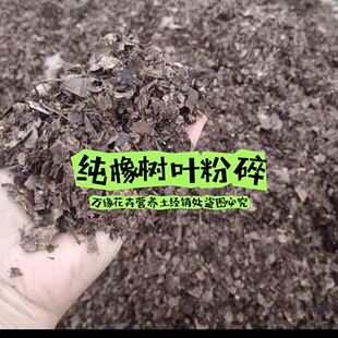 包邮腐熟橡树叶发酵腐叶土多肉蓝莓君子兰火鹤杜鹃长寿花白兰吊篮