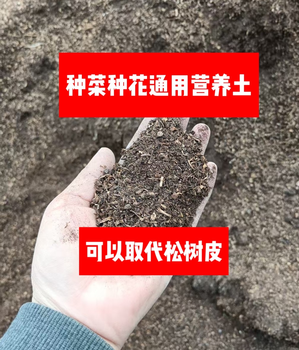 包邮腐熟纯松塔皮粉碎沫子透种菜种花通用营养土兰花石斛蓝莓松树