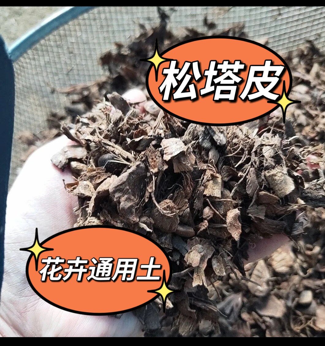 包邮腐熟松果壳松筋丝松苞壳塔壳皮君子兰多肉兰花等可取代蛇木