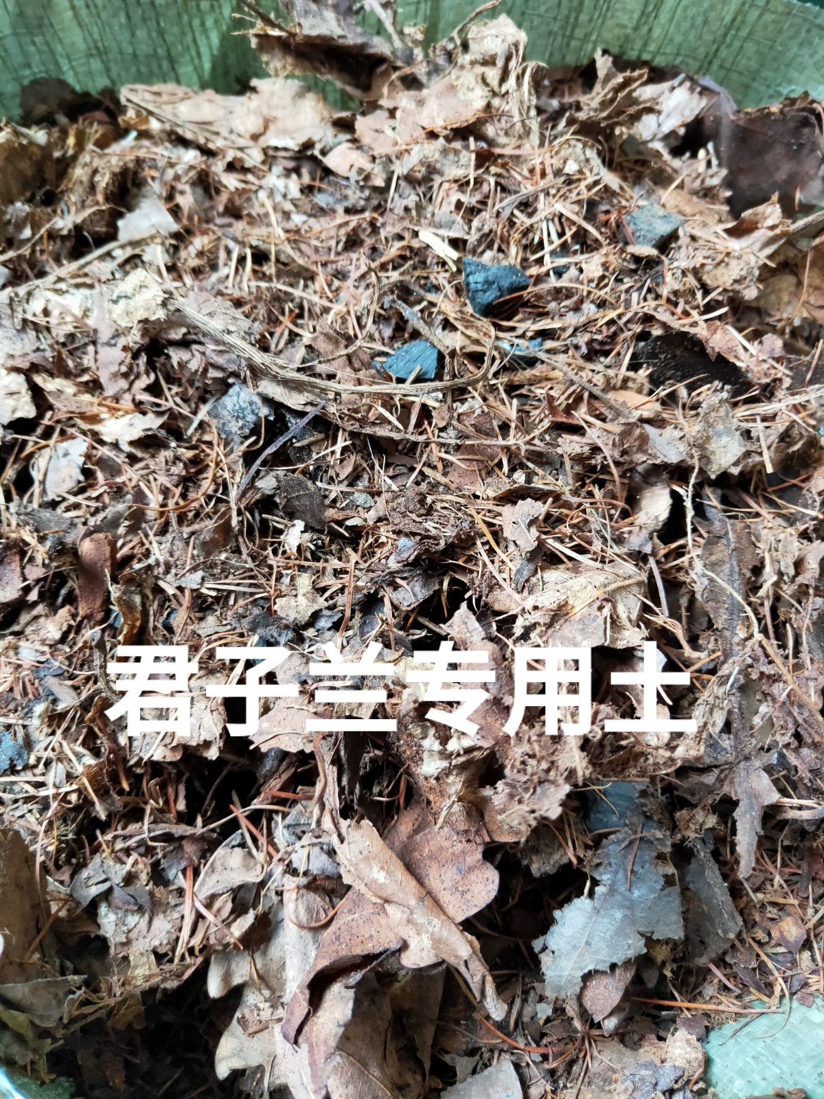 包邮种君子兰栽培营养土盆栽腐殖酸性肥料花土含松针柞树叶等
