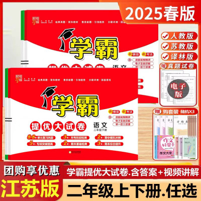 学霸提优大试卷二年级上下