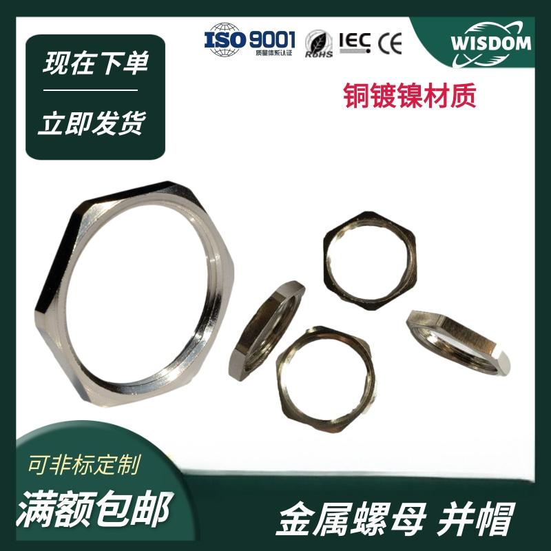 金属锁母片螺母并帽根母螺丝