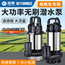 I臣源直流潜水泵48V60V72V无刷不锈钢电瓶电动车小抽水泵农用灌溉