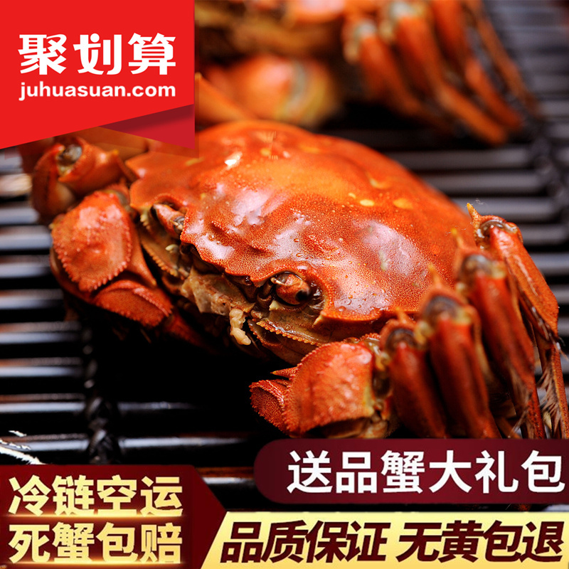 蘇典螃蟹鮮活大閘蟹公蟹3.5母蟹2.5兩8只河蟹特大禮盒裝現貨螃蟹