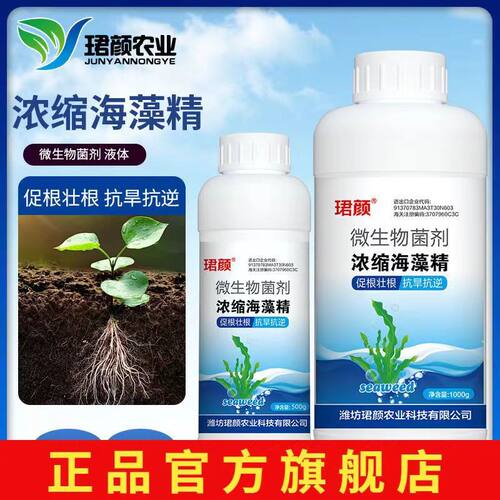 海藻精促根壮根靓果抗旱防板结