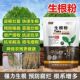 强力生根粉扦插育苗盆栽植物多肉通用大树果树移栽生根剂壮苗发根