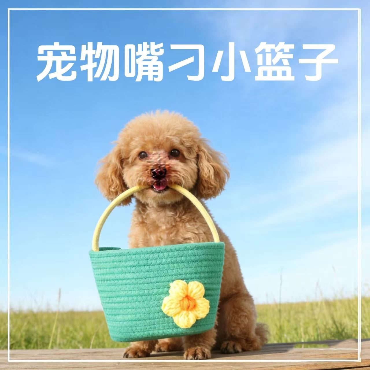 宠物嘴刁篮可爱小清新手提小花篮户外训狗用品小篮子狗狗口叼小篮
