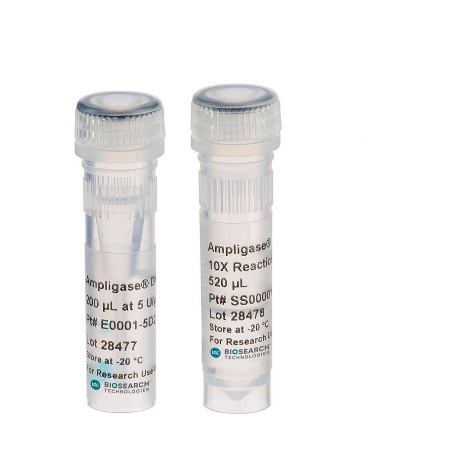 Lucigen A3202K Ampligase DNA Ligase with Buffer, 2500U 5U/uL