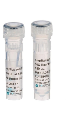 Lucigen A3202K Ampligase DNA Ligase with Buffer, 2500U 5U/uL