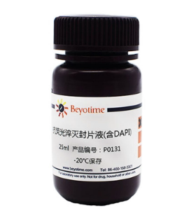碧云天 P0131-5ml 抗荧光淬灭封片液(含DAPI) 25ml