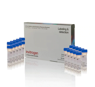 Red MitoTracker Deep 线粒体荧光探针 Invitrogen 原装 M22426