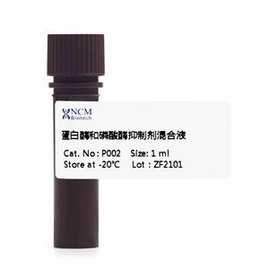 新赛美 P002 蛋白酶和磷酸酶抑制剂混合液EDTA-Free 100X in DMSO