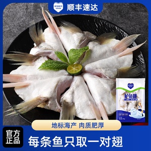 鲜到鲜得精选白蕉海鲈鱼翅300g*5 海鲜肉质肥厚 每条鱼只取一对翅