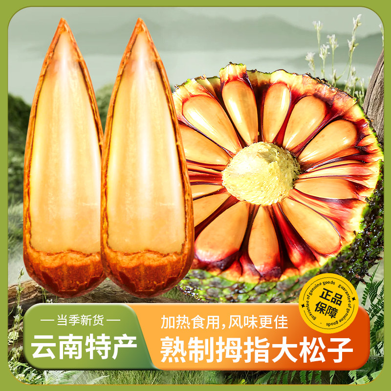 巴拉那松子原味熟食拇指大松子云南特产坚果零食年货大开口大颗粒