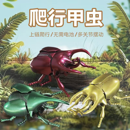让孩子能够体验到真实的昆虫世界