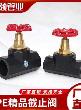 PE乔普顿截止阀门开关4分6分1寸2寸热熔水管加厚大体铜阀芯闸阀