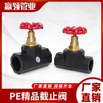 PE乔普顿截止阀门开关4分6分1寸2寸热熔水管加厚大体铜阀芯闸阀