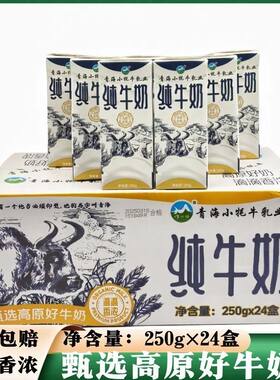 青海小牦牛纯牛奶甄选高原好牛奶