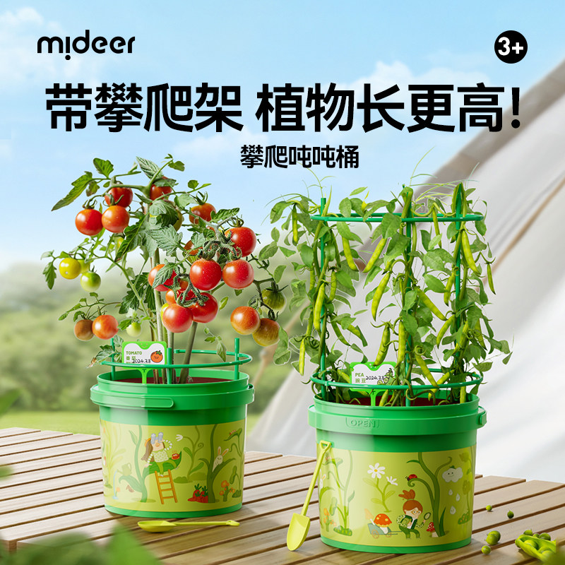 mideer弥鹿攀爬桶儿童植物种植盆栽阳光房生长观察盒科学实验玩具