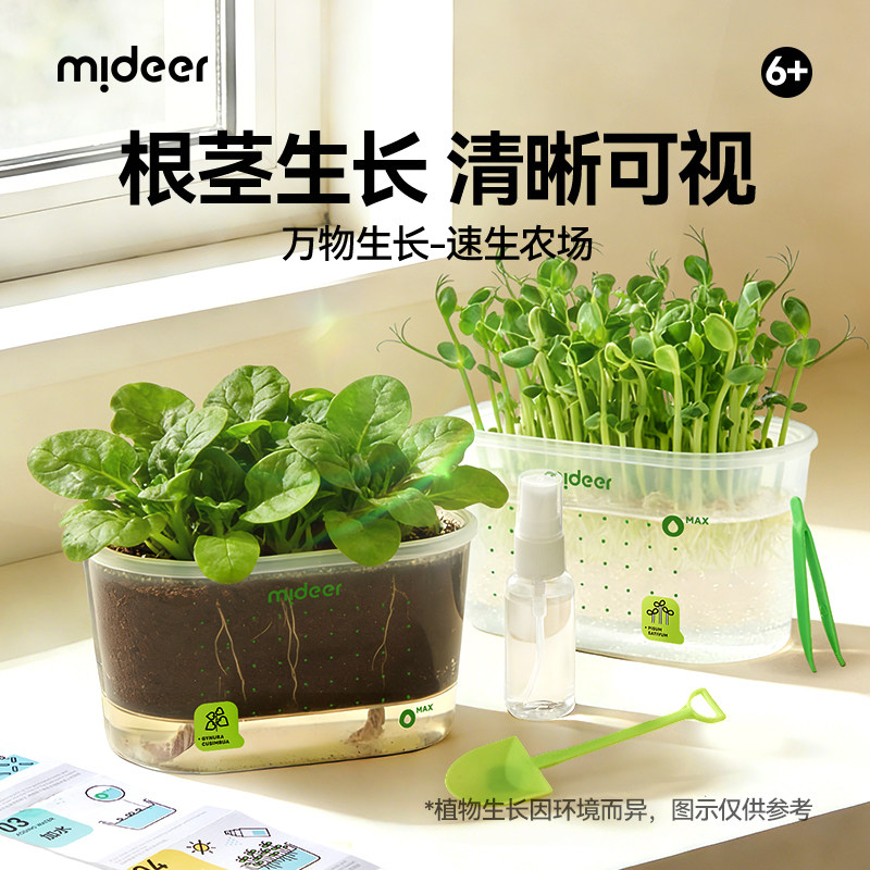 mideer弥鹿儿童速生农场植物种植盆栽蔬菜生长观察盒科学实验玩具