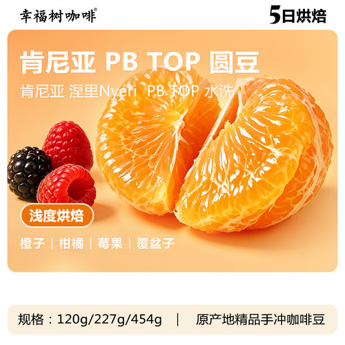 肯尼亚 涅里PB TOP水洗咖啡豆浅度烘焙果香浓郁精品手冲咖啡熟豆