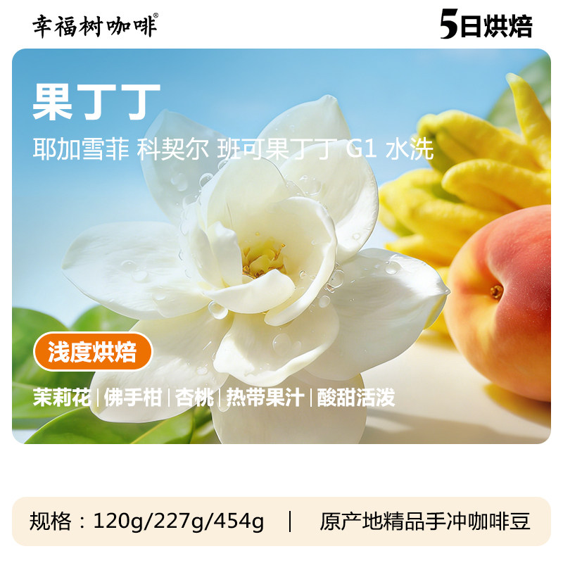 埃塞俄比亚耶加雪菲 科契尔班可果丁丁G1 水洗浅烘精品手冲咖啡豆