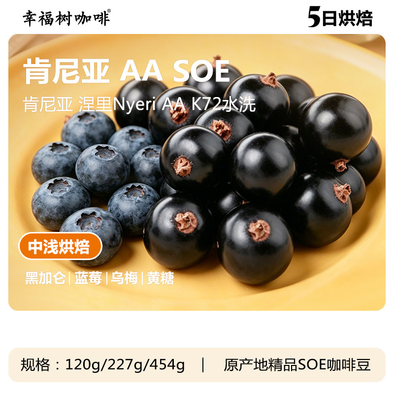 肯尼亚AA 涅里 K72水洗SOE精品咖啡中浅烘美式奶咖商用咖啡豆意式 - 实物图