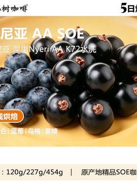 肯尼亚AA 涅里 K72水洗SOE精品咖啡中浅烘美式奶咖商用咖啡豆意式