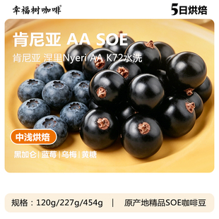 肯尼亚AA 涅里 K72水洗SOE精品咖啡中浅烘美式奶咖商用咖啡豆意式