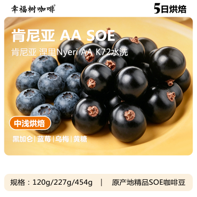 肯尼亚AA 涅里 K72水洗SOE精品咖啡中浅烘美式奶咖商用咖啡豆意式