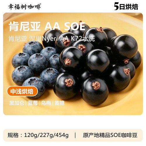 肯尼亚AA 涅里 K72水洗SOE精品咖啡中浅烘美式奶咖商用咖啡豆意式