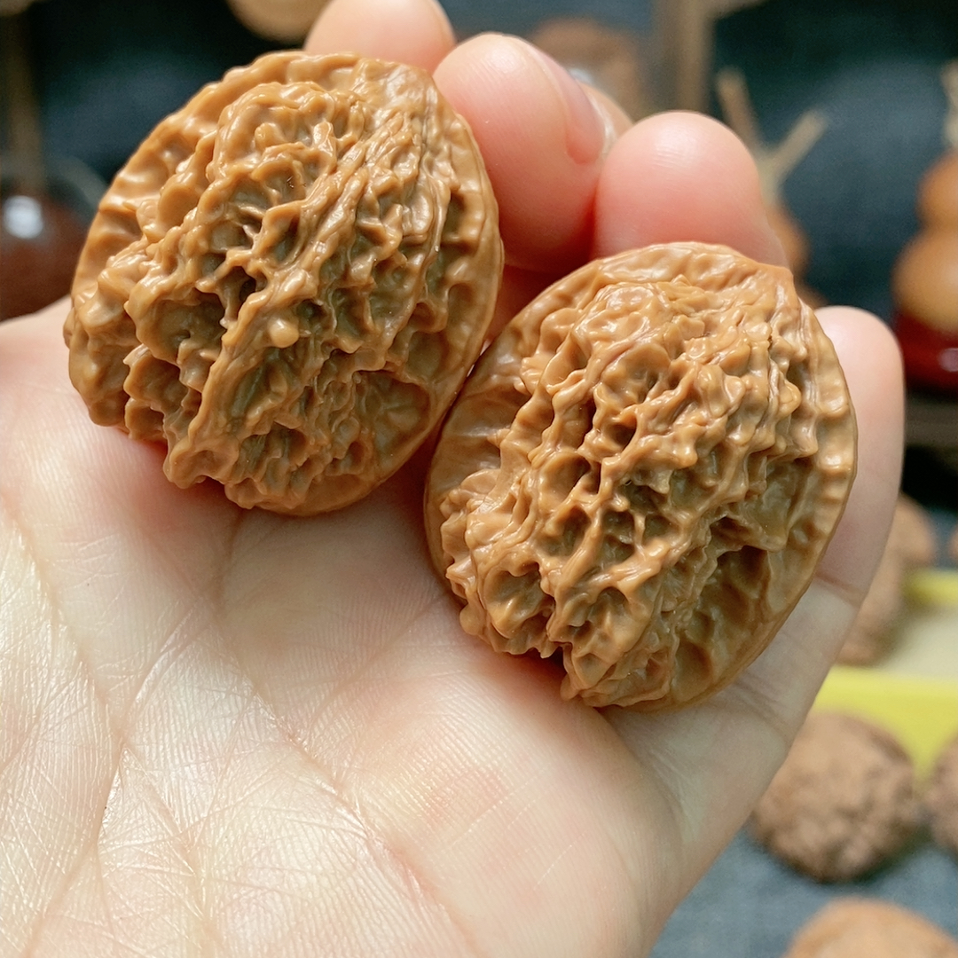 30野生珊瑚纹方块