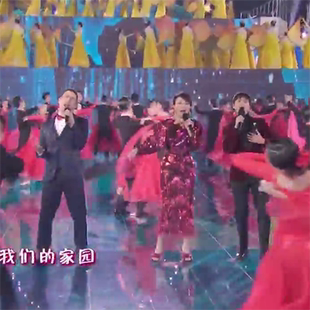 刘嘉玲 陈坤 夏利奥 共同家园 春晚版独家制作伴奏