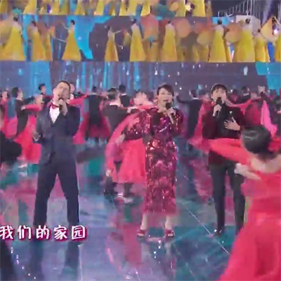 刘嘉玲 陈坤 夏利奥 共同家园 春晚版独家制作伴奏
