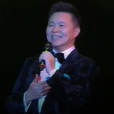 王宏伟 万景台岔路口 高品质伴奏 管弦伴奏 无限音质