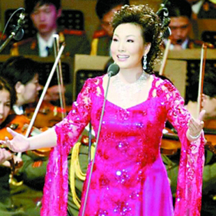 黄华丽伴奏中国饭/红颜一怒/高品质/精品制作/无损音质/晚会音乐