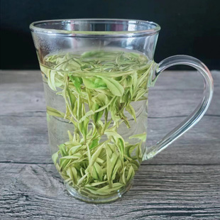 现货安吉白茶2025年新茶兰花香绿茶正宗原产浙江湖州特产白茶茶叶