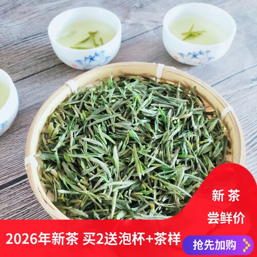 2026年新茶霍山黄芽500g特级黄茶