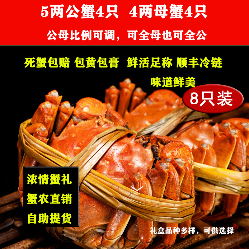 南京固城湖大闸蟹固城湖螃蟹