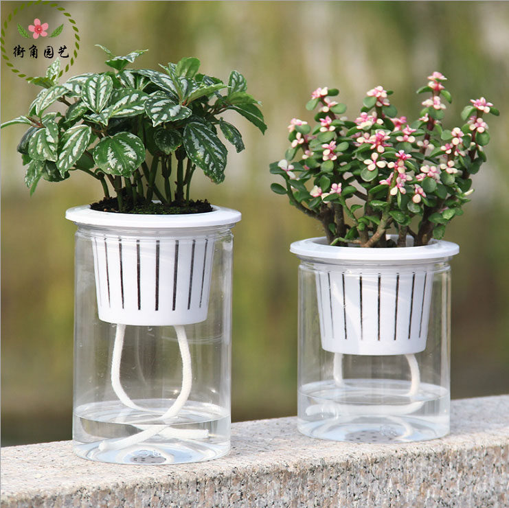 懒人花盆自动吸水透明圆形塑料水培花盆树脂植物花盆by街角园艺