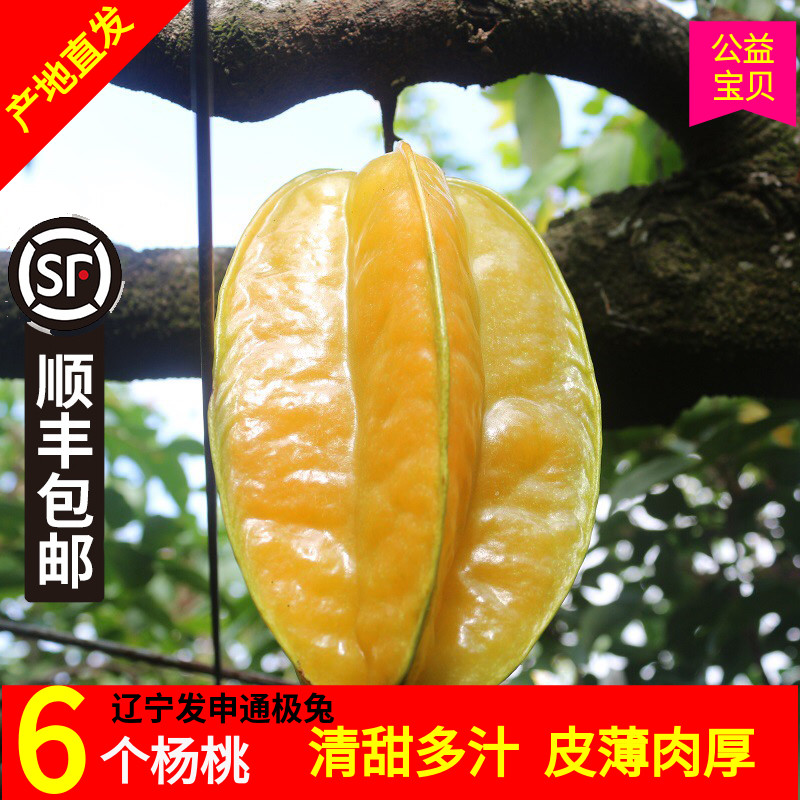 土楼杨桃6个装香甜多汁降火去燥