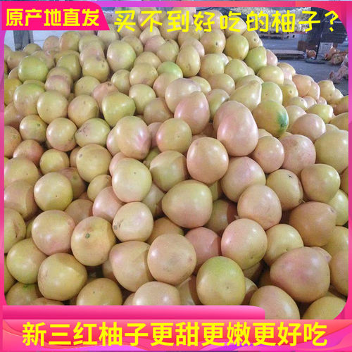 蜜柚红肉平和皮薄肉厚