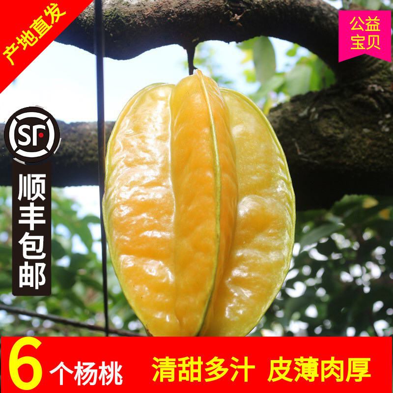 土楼杨桃6个装香甜多汁降火去燥