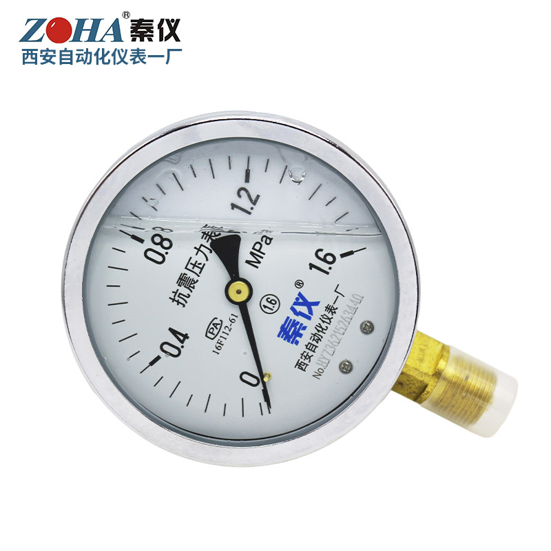 YTN100耐震压力表西安仪表厂