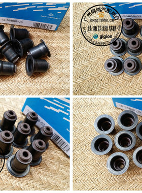 适用于宝马X1 X3 X4 Z4 F20 F30 F36 F10 F18 F07 GT 320气门油封