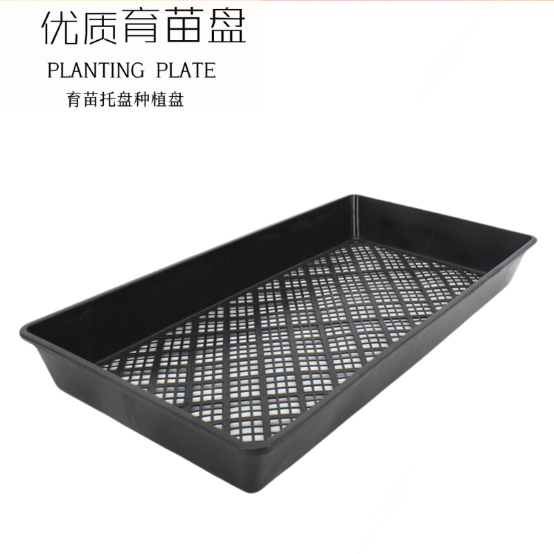 容器多肉加厚土培穴盘种菜叶插盆